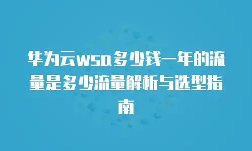 华为云wsa多少钱一年的流量是多少流量解析与选型指南