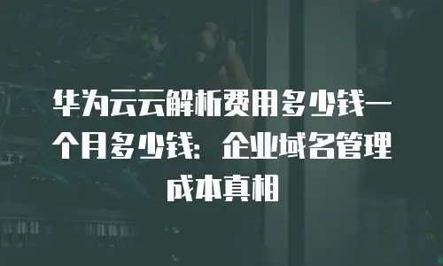 华为云云解析费用多少钱一个月多少钱：企业域名管理成本真相