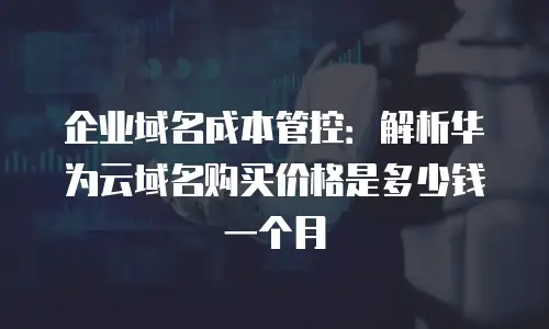 企业域名成本管控：解析华为云域名购买价格是多少钱一个月