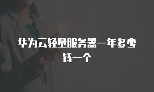 华为云轻量服务器一年多少钱一个