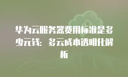 华为云服务器费用标准是多少元钱：多云成本透明化解析