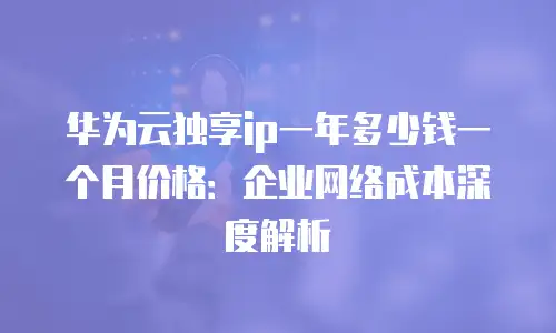 华为云独享ip一年多少钱一个月价格：企业网络成本深度解析