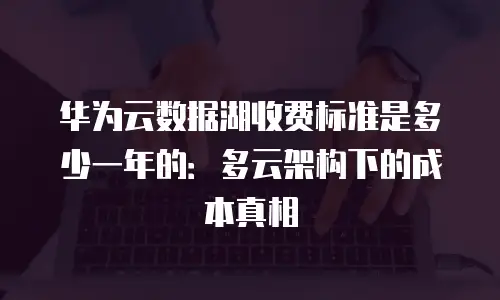 华为云数据湖收费标准是多少一年的：多云架构下的成本真相