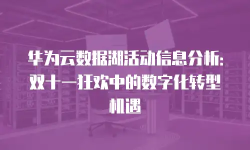 华为云数据湖活动信息分析：双十一狂欢中的数字化转型机遇
