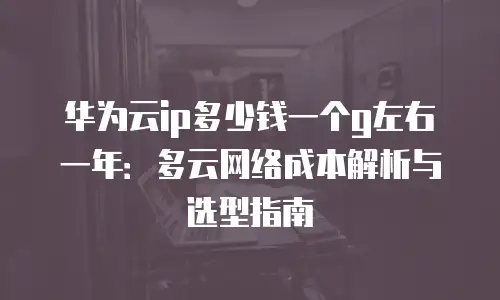 华为云ip多少钱一个g左右一年：多云网络成本解析与选型指南