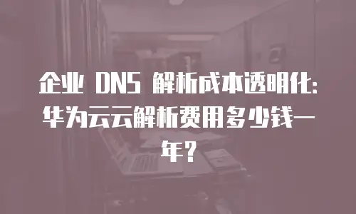 企业 DNS 解析成本透明化：华为云云解析费用多少钱一年？