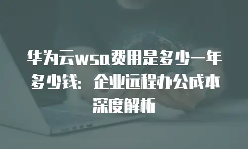 华为云wsa费用是多少一年多少钱：企业远程办公成本深度解析