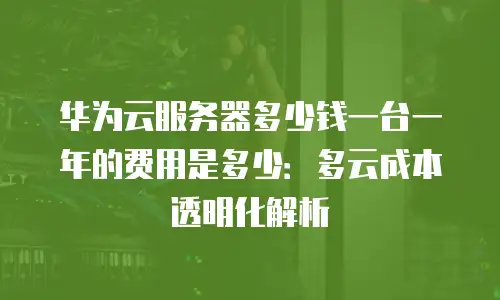 华为云服务器多少钱一台一年的费用是多少：多云成本透明化解析
