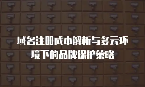 域名注册成本解析与多云环境下的品牌保护策略