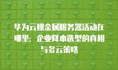 华为云裸金属服务器活动在哪里：企业降本选型的真相与多云策略