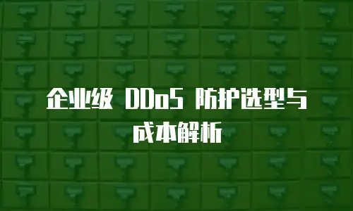 企业级 DDoS 防护选型与成本解析