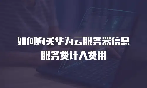 如何购买华为云服务器信息服务费计入费用