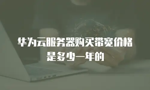 华为云服务器购买带宽价格是多少一年的