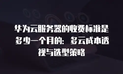 华为云服务器的收费标准是多少一个月的：多云成本透视与选型策略