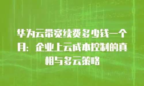 华为云带宽续费多少钱一个月：企业上云成本控制的真相与多云策略