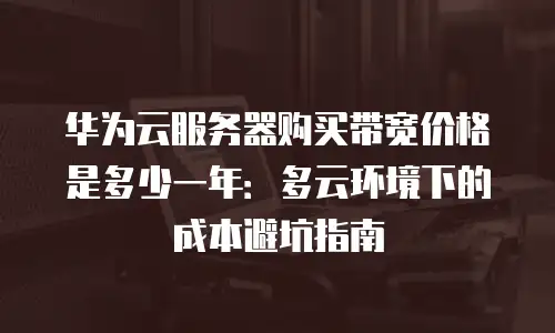 华为云服务器购买带宽价格是多少一年：多云环境下的成本避坑指南