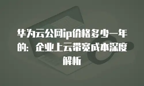 华为云公网ip价格多少一年的：企业上云带宽成本深度解析