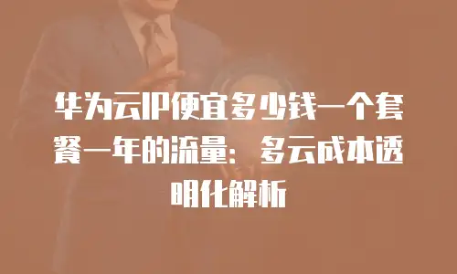 华为云IP便宜多少钱一个套餐一年的流量：多云成本透明化解析