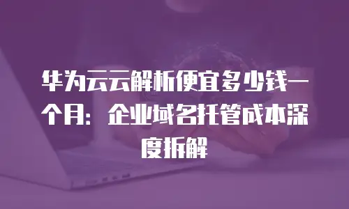 华为云云解析便宜多少钱一个月：企业域名托管成本深度拆解