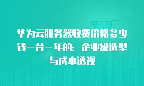 华为云服务器收费价格多少钱一台一年的：企业级选型与成本透视