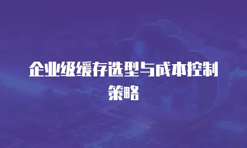 企业级缓存选型与成本控制策略