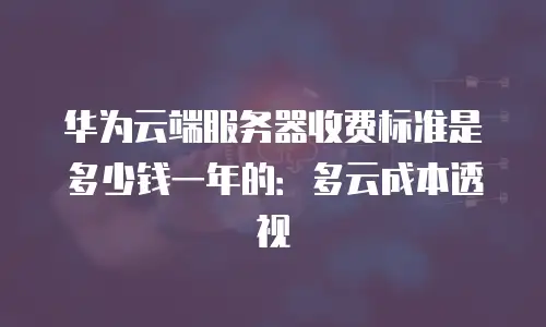 华为云端服务器收费标准是多少钱一年的：多云成本透视