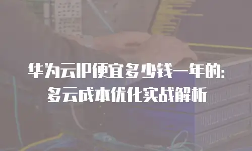 华为云IP便宜多少钱一年的：多云成本优化实战解析