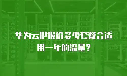 华为云IP报价多少套餐合适用一年的流量？