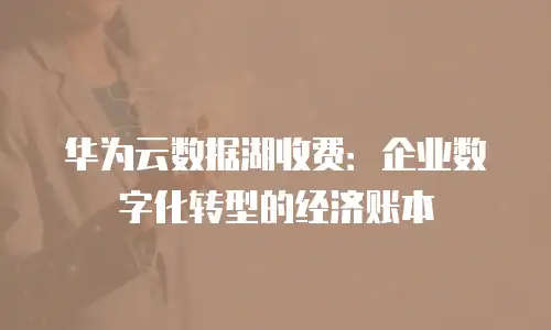 华为云数据湖收费：企业数字化转型的经济账本