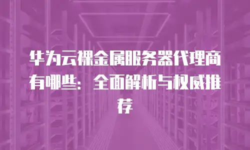 华为云裸金属服务器代理商有哪些：全面解析与权威推荐