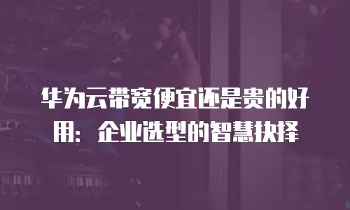 华为云带宽便宜还是贵的好用：企业选型的智慧抉择