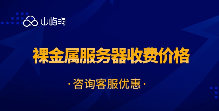 裸金属服务器收费价格:裸金属服务器的特点